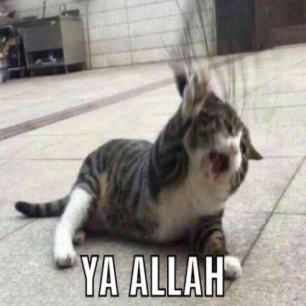 Almus 55'' Sideboard with 4 Glass Doors, 2 Large Drawers and Adjustable Shelves, White/Brown